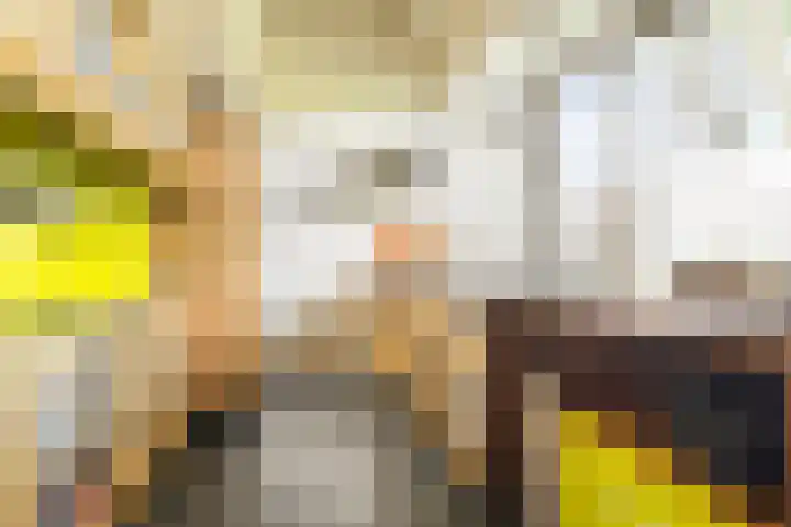 Zandelaan 1 Siddeburen thumbnail 9