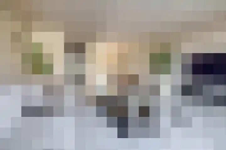 Zandenburg 16 Oegstgeest thumbnail 13
