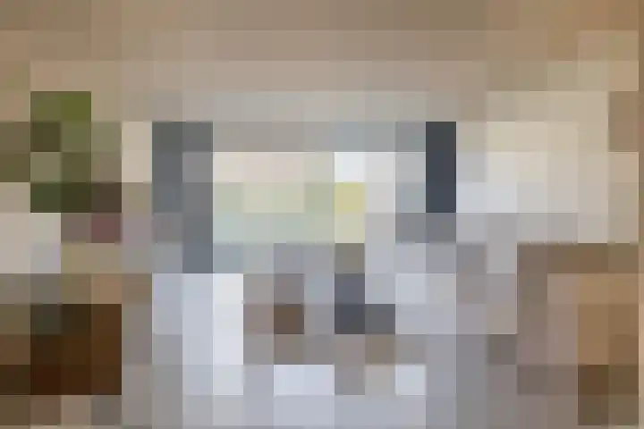 Zandenburg 16 Oegstgeest thumbnail 9