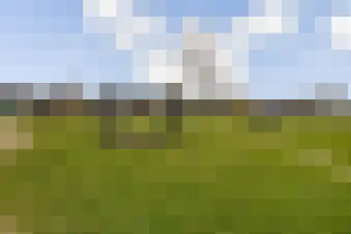 Zandenburg 46 Oegstgeest thumbnail 45