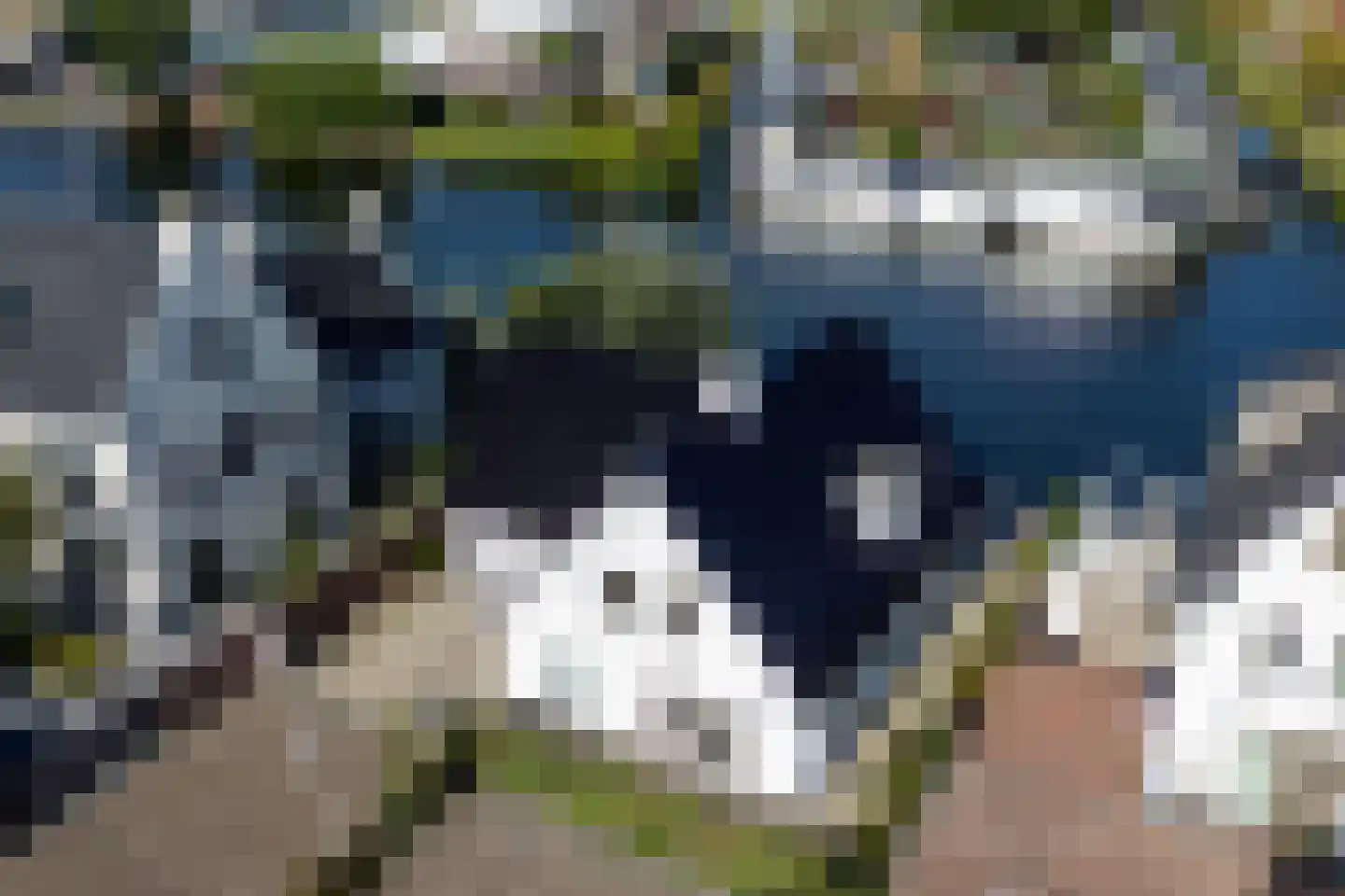 Zandenburg 56 Oegstgeest thumbnail 4