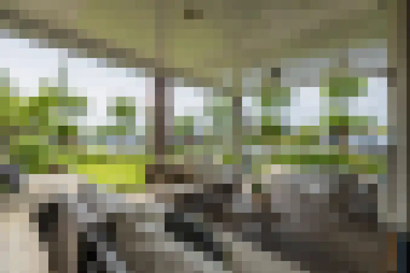 Zandenburg 58 Oegstgeest thumbnail 22