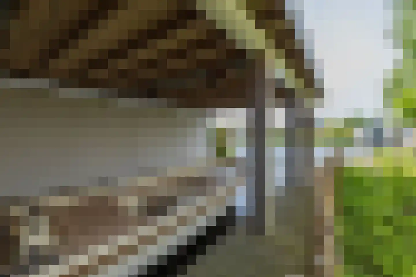 Zandenburg 58 Oegstgeest thumbnail 27