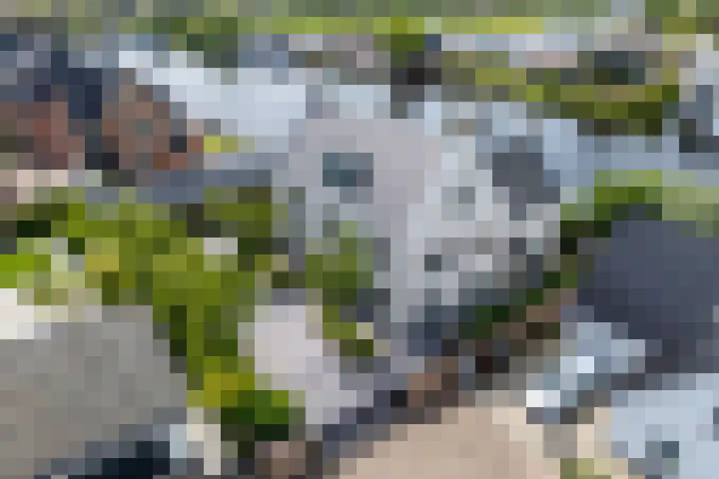 Zandenburg 58 Oegstgeest thumbnail 7