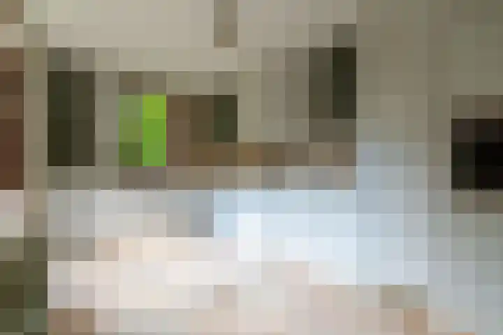 Zanderijlaan 15 Wassenaar thumbnail 11
