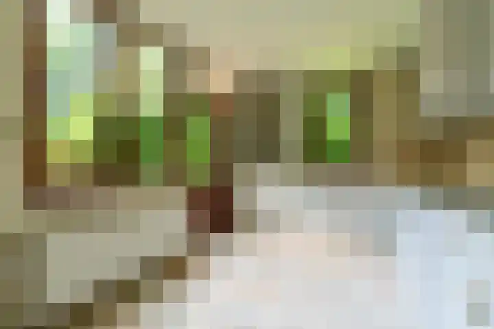 Zanderijlaan 15 Wassenaar thumbnail 13
