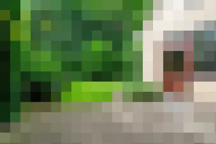 Zanderijlaan 15 Wassenaar thumbnail 14