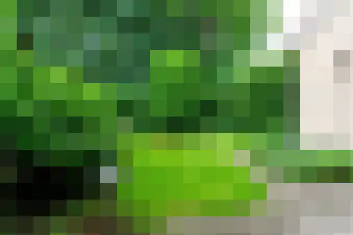 Zanderijlaan 15 Wassenaar thumbnail 15