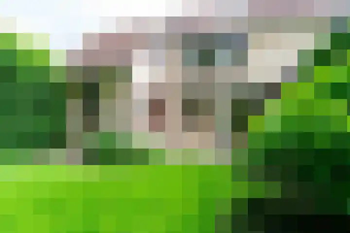 Zanderijlaan 15 Wassenaar thumbnail 16