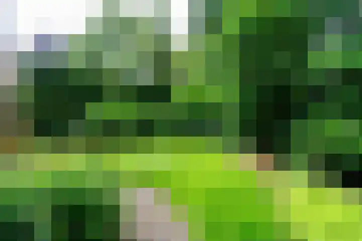 Zanderijlaan 15 Wassenaar thumbnail 18