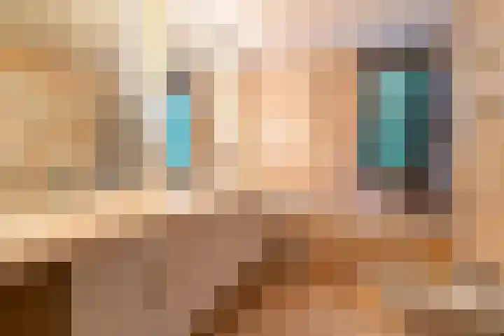 Zanderijlaan 15 Wassenaar thumbnail 26