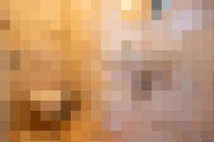 Zanderijlaan 15 Wassenaar thumbnail 4