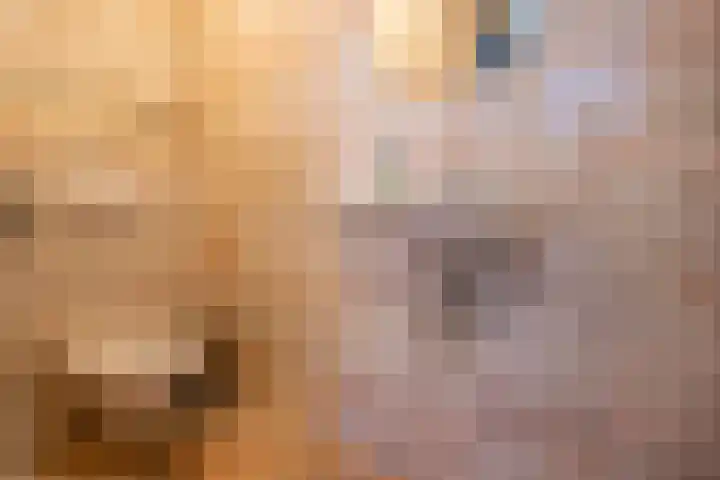 Zanderijlaan 15 Wassenaar thumbnail 5