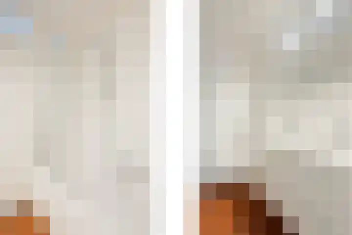 Zanderijlaan 23 Wassenaar thumbnail 22