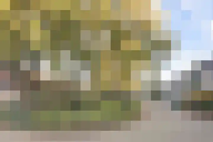 Zanderijlaan 23 Wassenaar thumbnail 31