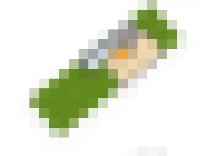 Zanderijlaan 23 Wassenaar thumbnail 32