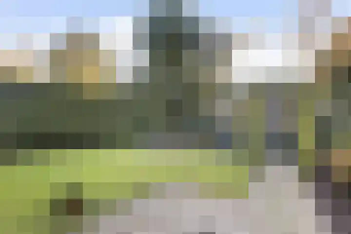 Zanderijlaan 23 Wassenaar thumbnail 4