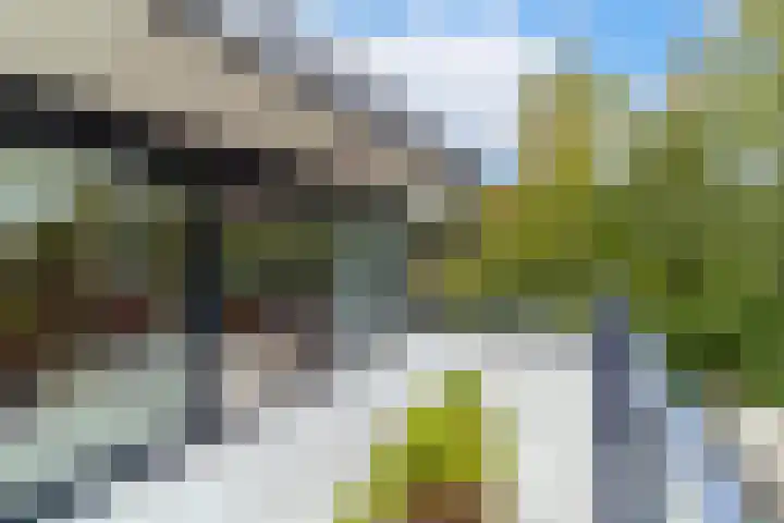 Zanderijpad 34 Wassenaar thumbnail 12