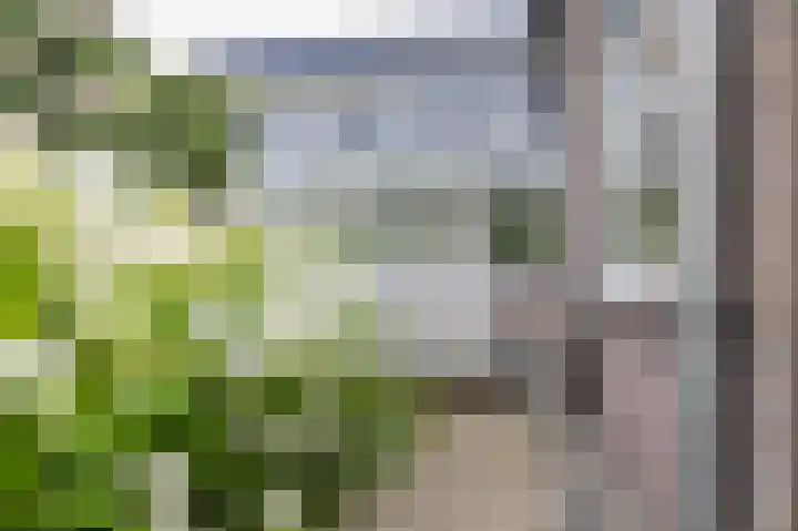 Zanderijweg 100 Apeldoorn thumbnail 12