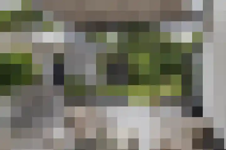 Zanderijweg 100 Apeldoorn thumbnail 13
