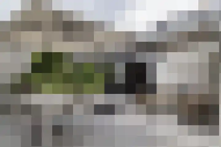 Zanderijweg 100 Apeldoorn thumbnail 14
