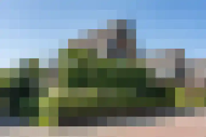 Zanderijweg 100 Apeldoorn thumbnail 15