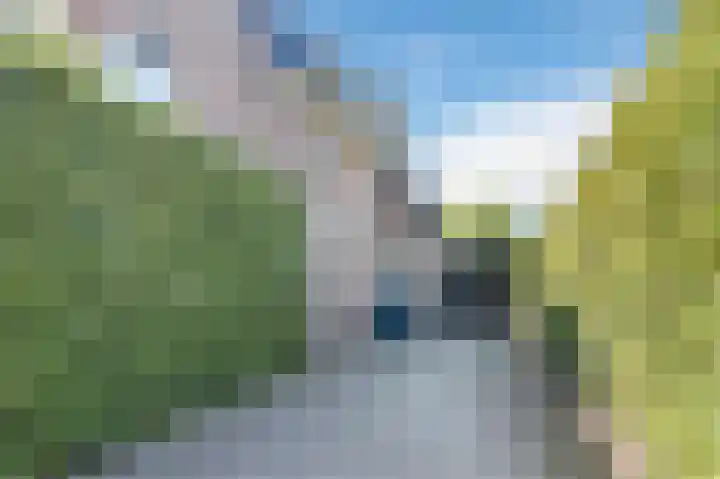 Zanderijweg 100 Apeldoorn thumbnail 17