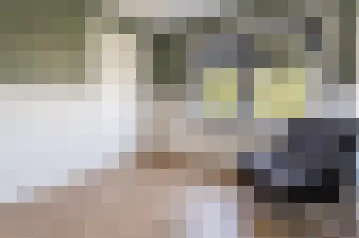 Zanderijweg 100 Apeldoorn thumbnail 37
