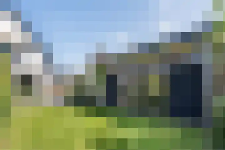 Zanderijweg 100 Apeldoorn thumbnail 4
