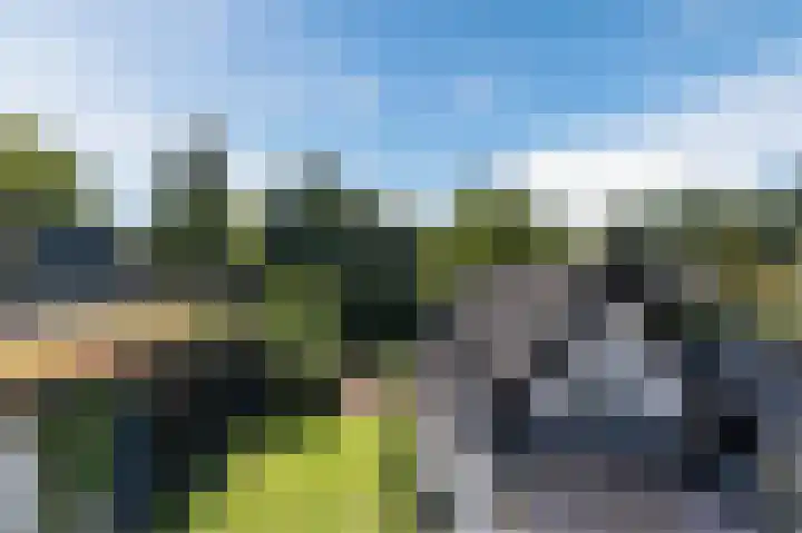 Zanderijweg 100 Apeldoorn thumbnail 47