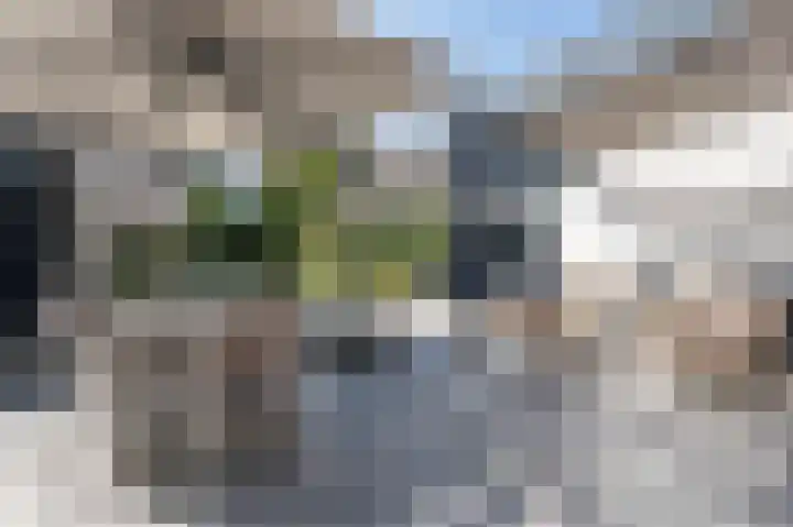 Zanderijweg 100 Apeldoorn thumbnail 51