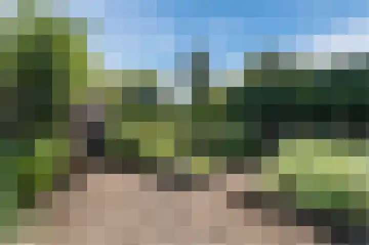 Zanderijweg 100 Apeldoorn thumbnail 55
