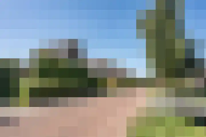 Zanderijweg 100 Apeldoorn thumbnail 56
