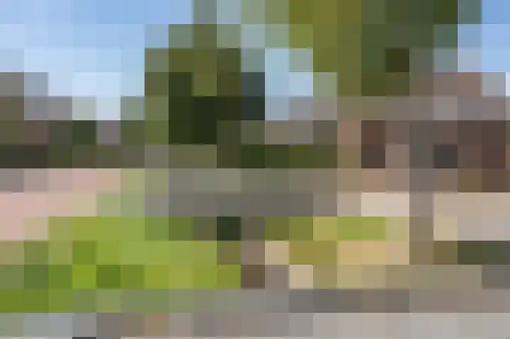 Zanderijweg 100 Apeldoorn thumbnail 57