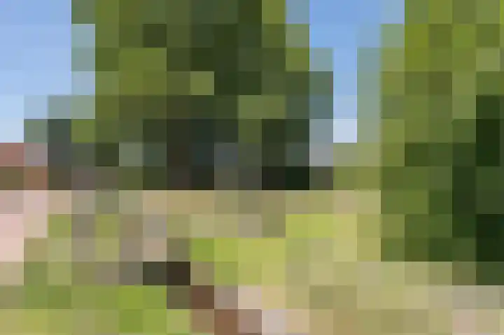 Zanderijweg 100 Apeldoorn thumbnail 58
