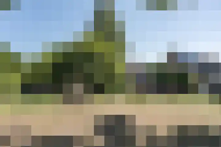 Zanderijweg 100 Apeldoorn thumbnail 59