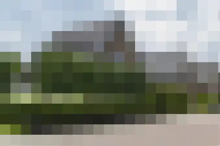 Zanderijweg 100 Apeldoorn thumbnail 60