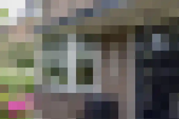 Zanderijweg 100 Apeldoorn thumbnail 7
