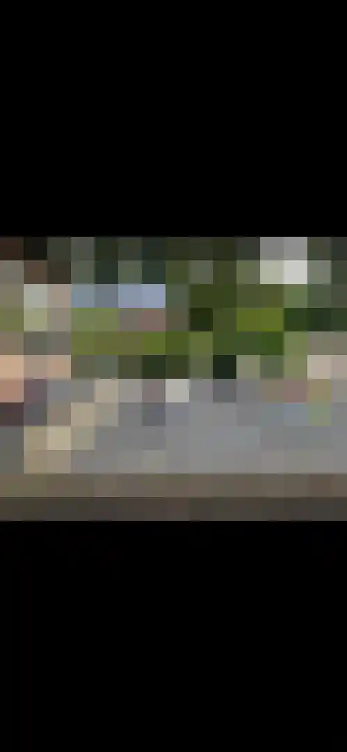 Zanderijweg 12 A Apeldoorn thumbnail 35
