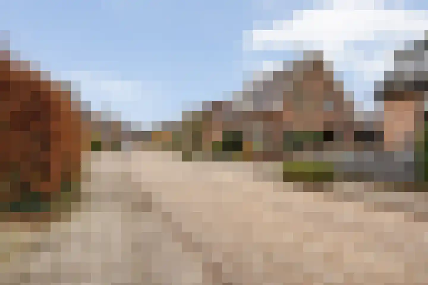Zanderijweg 12 A Apeldoorn thumbnail 4