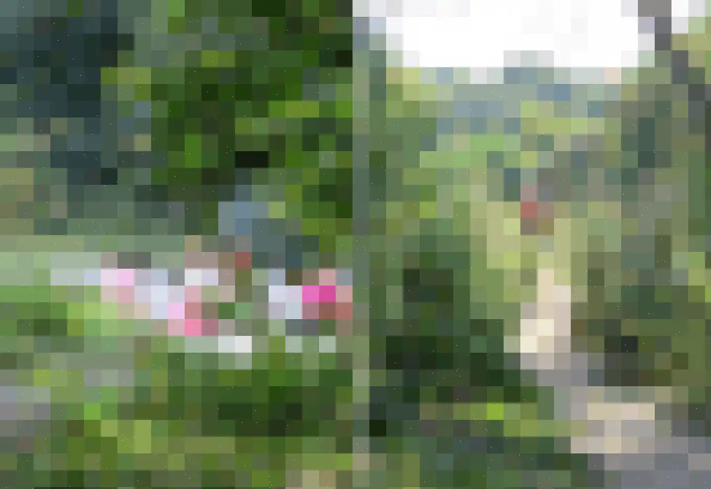 Zanderijweg 14 Castricum thumbnail 11