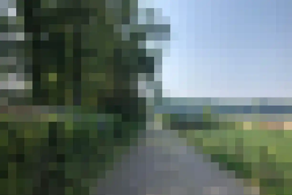 Zanderijweg 14 Castricum thumbnail 12