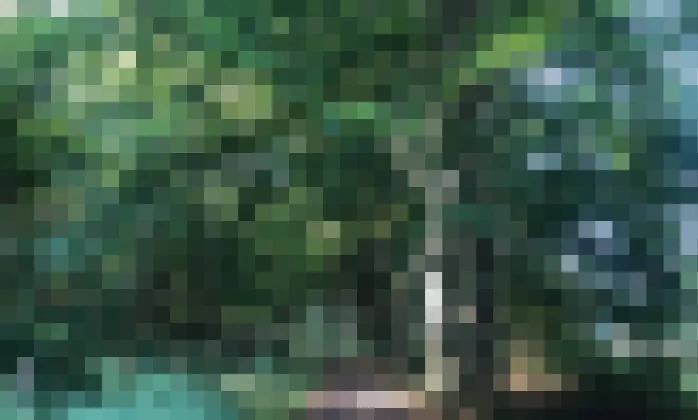 Zanderijweg 14 Castricum thumbnail 13