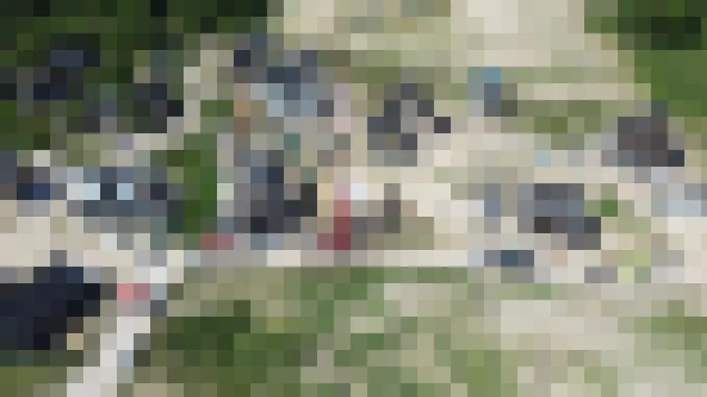 Zanderijweg 14 Castricum thumbnail 5