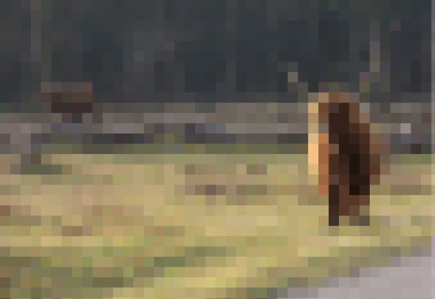 Zanderijweg 14 Castricum thumbnail 7