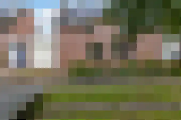 Zanderijweg 173 Apeldoorn thumbnail 23