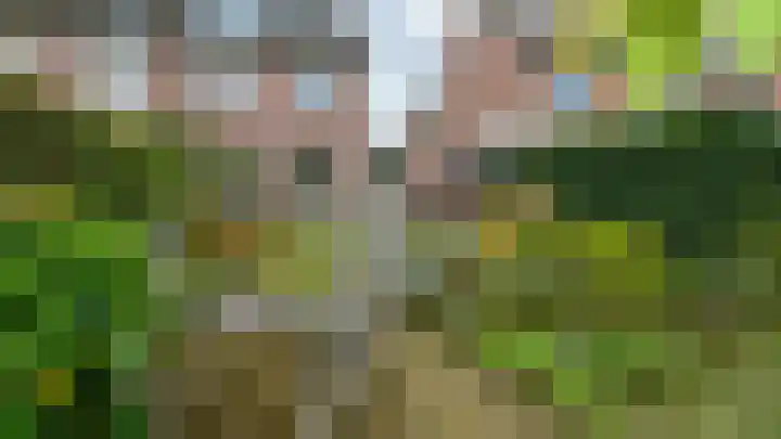 Zanderijweg 173 Apeldoorn thumbnail 25