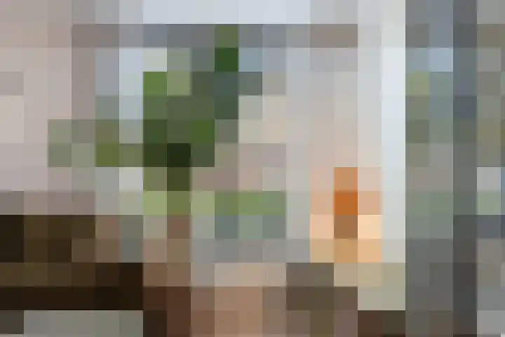 Zanderijweg 57 Apeldoorn thumbnail 10