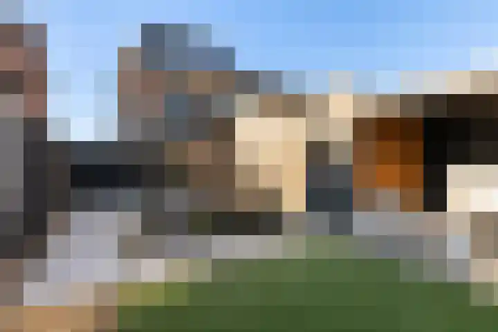 Zanderijweg 57 Apeldoorn thumbnail 20