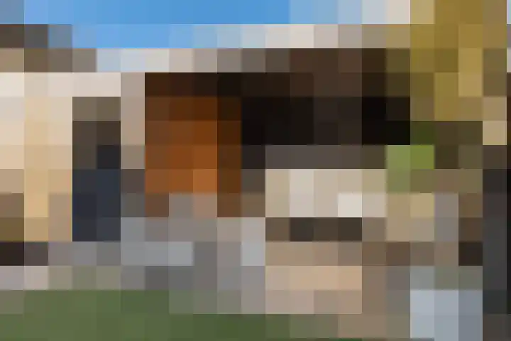Zanderijweg 57 Apeldoorn thumbnail 21